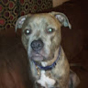 Meet your Posher, Kassandra